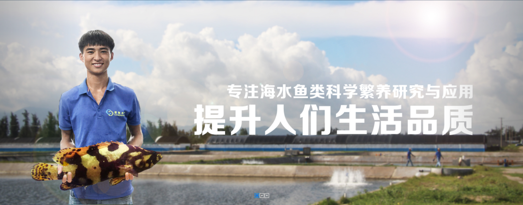 喜讯：晨海水产成功入选海南省上市后备资源库